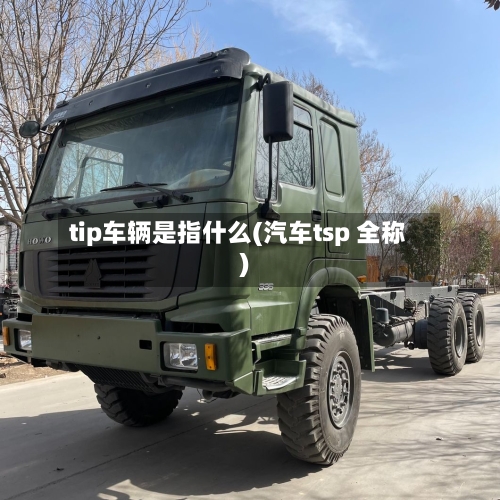 tip车辆是指什么(汽车tsp 全称)