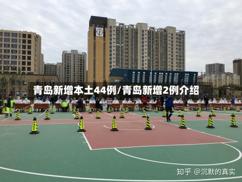 青岛新增本土44例/青岛新增2例介绍-第3张图片