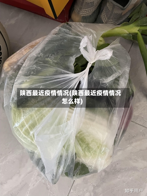 陕西最近疫情情况(陕西最近疫情情况怎么样)-第2张图片