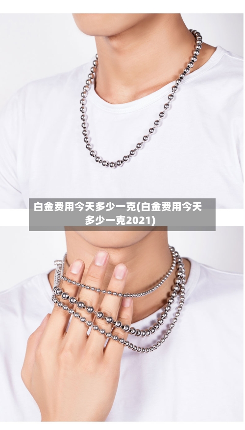 白金费用今天多少一克(白金费用今天多少一克2021)