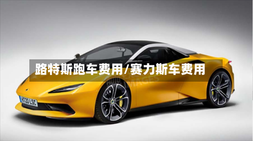 路特斯跑车费用/赛力斯车费用