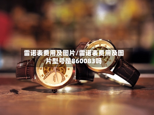 雷诺表费用及图片/雷诺表费用及图片型号是860083吗