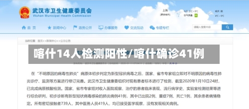 喀什14人检测阳性/喀什确诊41例