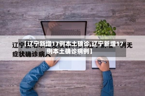 【辽宁新增17例本土确诊,辽宁新增17例本土确诊病例】-第3张图片