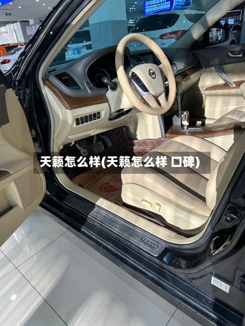 天籁怎么样(天籁怎么样 口碑)