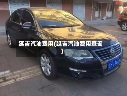 延吉汽油费用(延吉汽油费用查询)