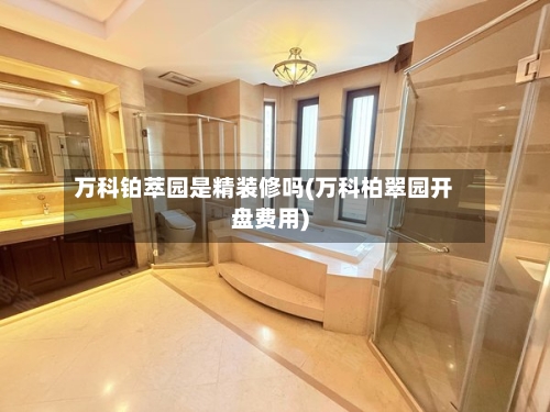 万科铂萃园是精装修吗(万科柏翠园开盘费用)-第2张图片