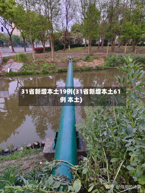 31省新增本土19例(31省新增本土61例 本土)