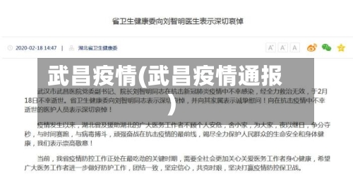 武昌疫情(武昌疫情通报)