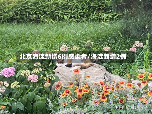 北京海淀新增6例感染者/海淀新增2例-第3张图片