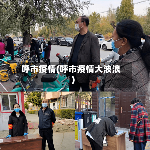 呼市疫情(呼市疫情大波浪)-第2张图片