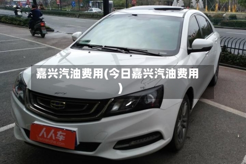 嘉兴汽油费用(今日嘉兴汽油费用)-第2张图片
