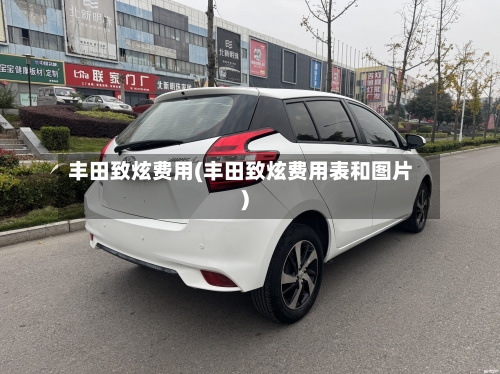 丰田致炫费用(丰田致炫费用表和图片)-第2张图片