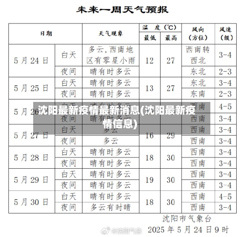 沈阳最新疫情最新消息(沈阳最新疫情信息)