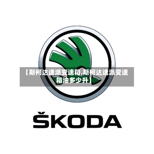 【斯柯达速派变速箱,斯柯达速派变速箱油多少升】-第3张图片