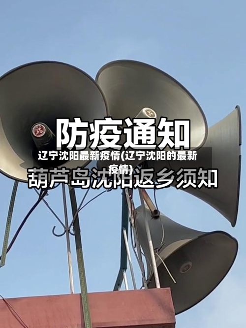 辽宁沈阳最新疫情(辽宁沈阳的最新疫情)