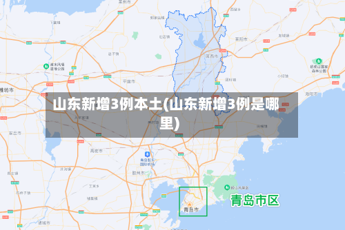 山东新增3例本土(山东新增3例是哪里)-第2张图片