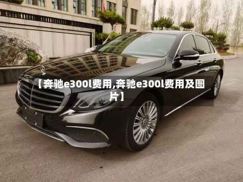 【奔驰e300l费用,奔驰e300l费用及图片】