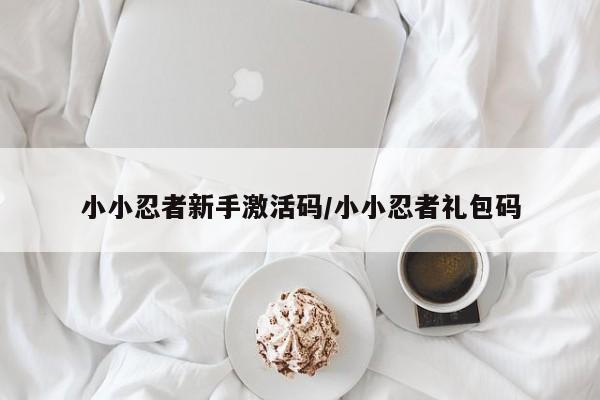 小小忍者新手激活码/小小忍者礼包码