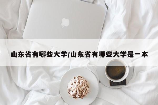 山东省有哪些大学/山东省有哪些大学是一本